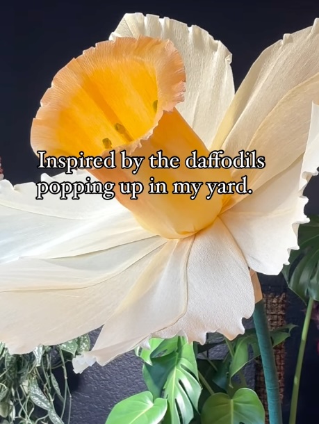 Huge paper daffodil.
